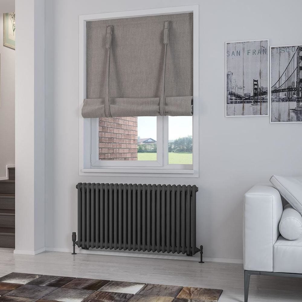 Eastbrook Column Radiator Eastbrook Rivassa Traditional 2 Column Radiator in Matt Anthracite 600 x 1148 / Central Heating