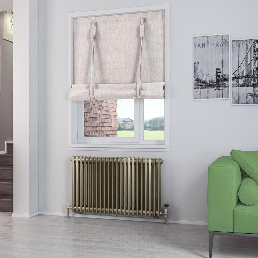 Eastbrook Column Radiator Eastbrook Rivassa Traditional 2 Column Radiator in Bronze Effect 600 x 1010 / Dual Fuel