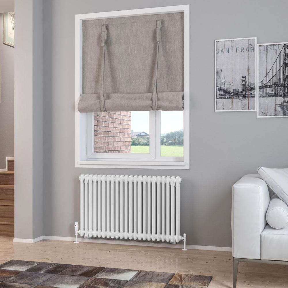 Eastbrook Column Radiator Eastbrook Rivassa Traditional 2 Column Radiator in Gloss White 600 x 1010 / Dual Fuel