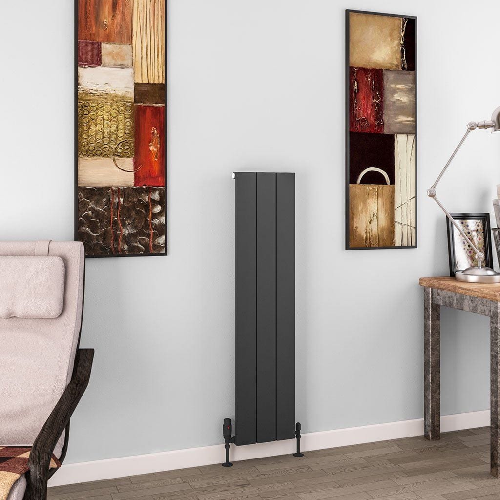 Eastbrook Eastbrook Charlton Vertical Designer Radiator in Matt Anthracite 1200 x 280 / Dual Fuel