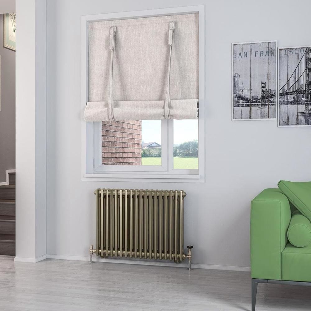 Eastbrook Column Radiator Eastbrook Rivassa Traditional 2 Column Radiator in Bronze Effect 600 x 833 / Dual Fuel