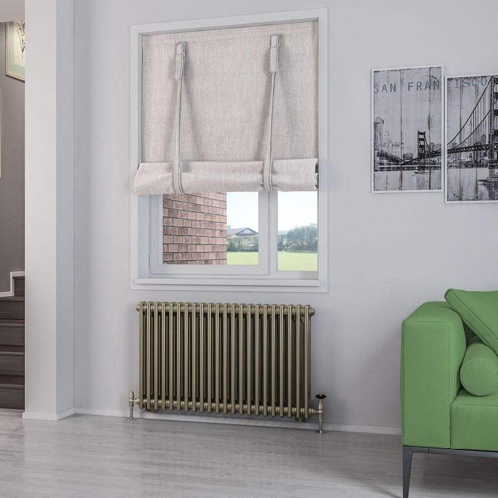 Eastbrook Column Radiator Eastbrook Rivassa Traditional 2 Column Radiator in Bronze Effect 600 x 1010 / Central Heating
