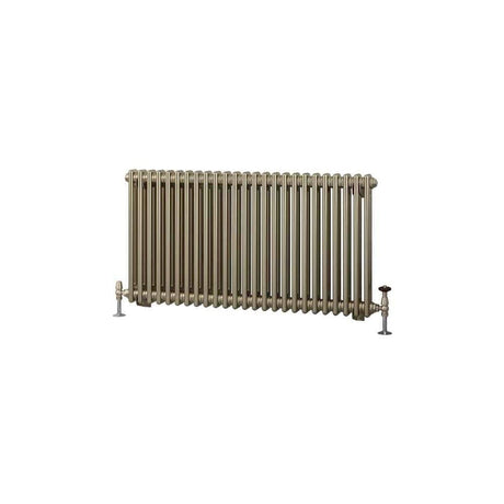 Eastbrook Column Radiator Eastbrook Rivassa Traditional 2 Column Radiator in Bronze Effect