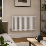 Aquarius Bathrooms Column Radiator Aquarius Foundry Horizontal 2 Column Radiator in White 500mm x 830mm