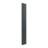 Reina Panel Radiator Reina Flat Vertical Double Panel Radiator 1600 x 218mm / Anthracite