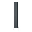 Reina Panel Radiator Reina Gio Aluminium Vertical Double Panel Central Heating Designer Radiator 1800 x 280mm / Anthracite