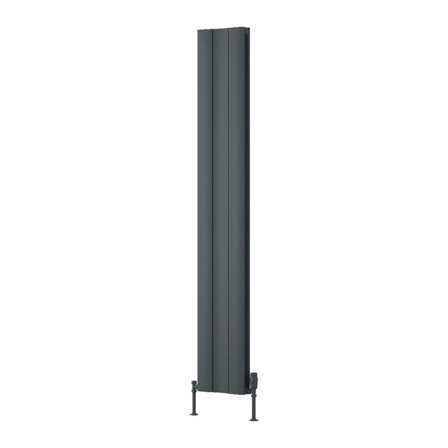 Reina Panel Radiator Reina Gio Aluminium Vertical Double Panel Central Heating Designer Radiator 1800 x 280mm / Anthracite