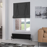 Eastbrook Column Radiator Eastbrook Rivassa Traditional 2 Column Radiator in Matt Black 300 x 1148 / Central Heating