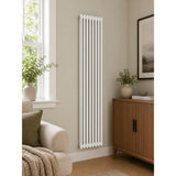 Aquarius Bathrooms Column Radiator Aquarius Foundry Vertical 2 Column Radiator in White 1800 x 425mm