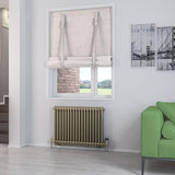 Eastbrook Column Radiator Eastbrook Rivassa Traditional 2 Column Radiator in Bronze Effect 600 x 833 / Dual Fuel
