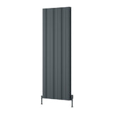 Reina Panel Radiator Reina Gio Aluminium Vertical Double Panel Central Heating Designer Radiator