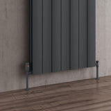Reina Panel Radiator Reina Gio Aluminium Vertical Double Panel Central Heating Designer Radiator